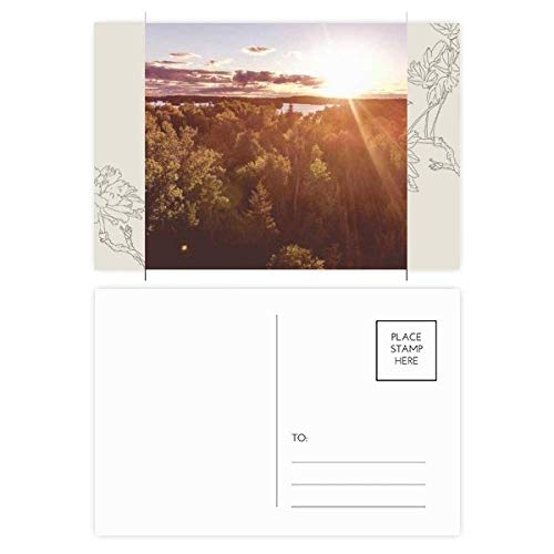 Carte postale Merci nature pour correspondance et décoration florale 20pcs