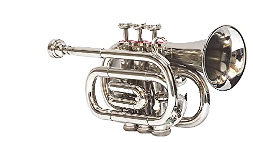 New Pocket Trumpet, Bb, Nickel India Best Sound Rds 826 #TOP2