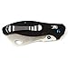 Firebird GANZO F7551 Pocket Folding Knife 440C Stainless Steel Blade G10 Anti-Slip Handle with Clip Hunting Gear Fishing Camping Folder Outdoor EDC Knife (Black)