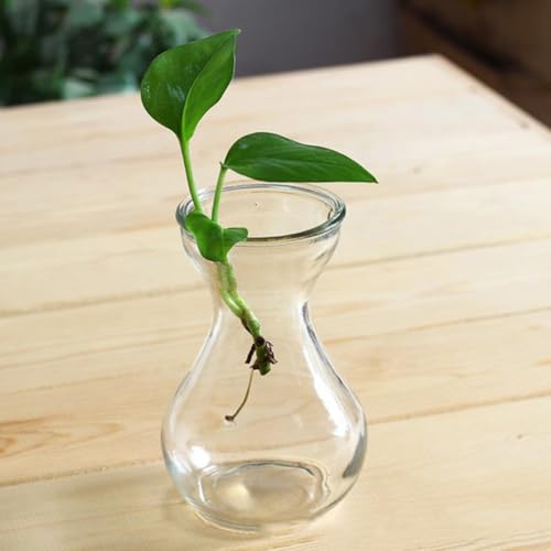 Vase en verre transparent fleurs hydroponiques décoration bureau