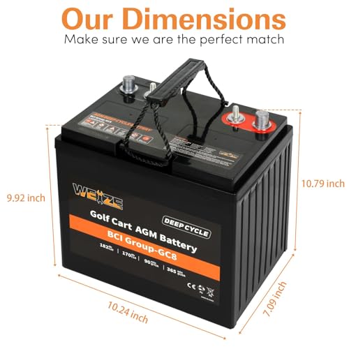 Weize GC8 8V 182AH AGM Battery