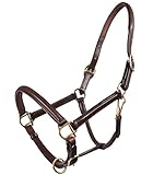  QHP luxeriöses Lederhalfter fein, verstellbar und weich unterlegt (Warmblut, Dunkelbraun)