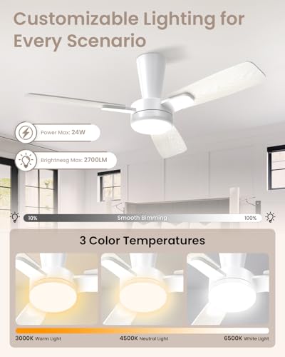 Plafonnier ventilateur avec télécommande LED dimmable pour chambre salon