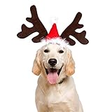 PEDOMUS Hunde Katze Kostüm Weihnachten Kopf Hoop Weihnachten Rentier Geweih Katze Hund Headwear für Katze und kleine Hund
