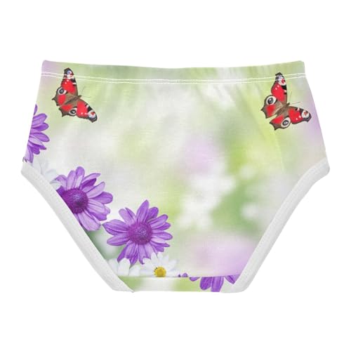 Toddler Girls Underwear 2t Cotton Panties for Girl Personalized Underpants Briefs Purple White Flowers Butterflies2