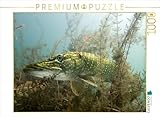 WUNDERSCHÖNES BILD als Puzzle-Motiv mit einzigartiger Farbgebung bietet ein abwechslungsreiches Puzzle-Vergnügen