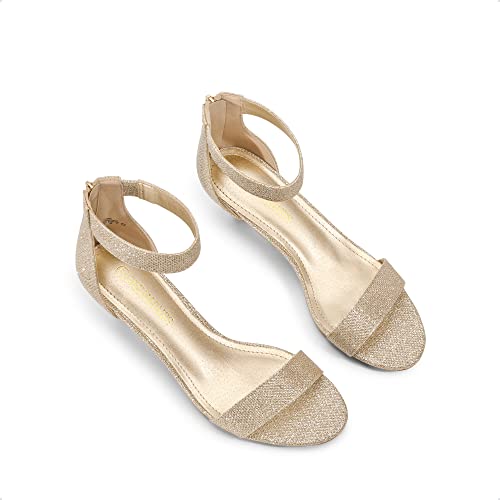 DREAM PAIRS Women's Low Kitten Heels Open Toe Ankle Strap Heeled Sandals Comfortable Dress Shoes for Women, Prom, Party,Size 8.5,Gold/Glitter