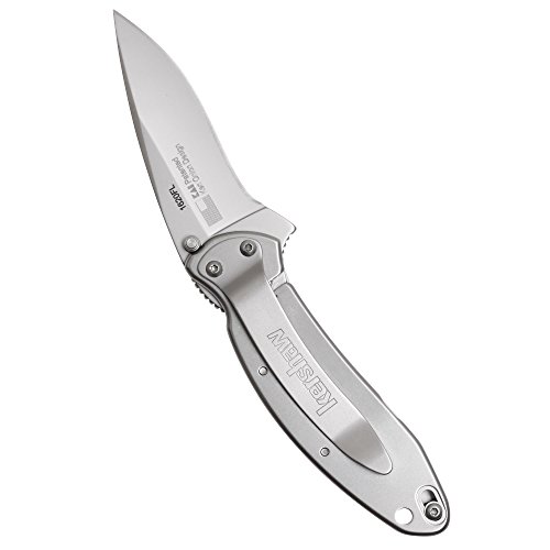 Kershaw Scallion Stainless Pocketknife, 2.4" 420Hc Steel Drop Point Blade, Assisted Open With Flipper, Liner And Tip Lock, Single-Position Pocketclip #TOP2