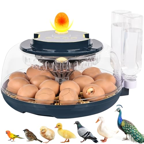 Incubators for Hatching Eggs, 18 Eggs Incubator with Egg Candler, Auto Egg Turner, Temp & Humidity Control, Hatch Day, Auto Water Refill, 2 Size Egg Tray, 360° Viewing for Chicken, Duck, Quail