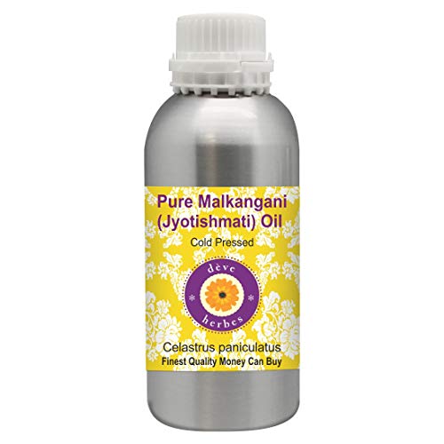 Huile de Malkangani pure pour massage crânien et soin capillaire naturel 630ml