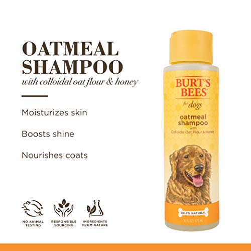 Burt's Bees For Dogs Natural Oatmeal Dog Shampoo | With Colloidal Oat Flour & Honey | Cruelty Free, Sulfate & Paraben Free, Ph Balanced For Dogs - Made In Usa, 16 Oz - Pack Of 6 #TOP4