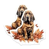 (2 Pack) Bloodhound Dog Magnets - Realistic Autumn Leaves Art - Hound Dog Pet Owner Fridge Decoration - 5 Inches On Longest Side - Thick Durable Magnet - Made in USA - MAG30036