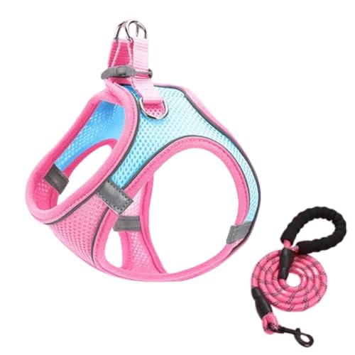 DICOCO  n[lX [h Zbg Ȃ ȒPE y U o h~  xXg Lpn[lX   ^ ^ ^ q n[lX(u[sN*1CL)