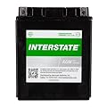 Interstate Batteries YTX14AH-BS 12V 12Ah Powersports Battery 210CCA High-Performance AGM Rechargeable Replacement for Kawasaki, Polaris, Yamaha ATVs, UTVs, Snowmobiles, Motorcycles (CITX14AH-BS)