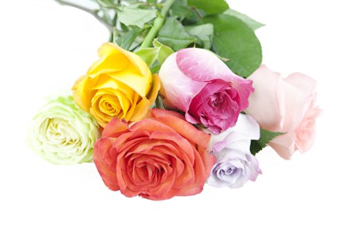 KaBloom-6 Assorted Rose Bouquet,Flowers for Valentine, Mother's Day