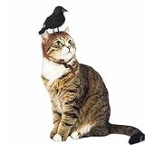 Dog Cat Hat Crow Costume, Halloween Party Cosplay Costume Photo Props, Pet Headwear Crow for Small Dogs Puppy Cats