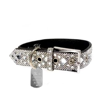 Amazon.com : Jacqueline Kent Diamonds in The Ruff Rhinestone