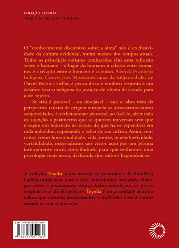 Além da Psicologia Indígena: Concepções Mesoamericanas da Subjetividade