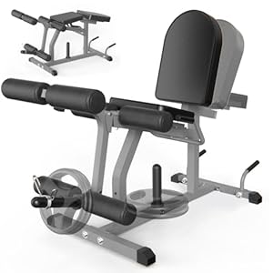 2-in-1 Adjustable Leg Extension and Curl Machine, Easy Transition, Home Gym Leg Machine, Weight Capacity 660LBS