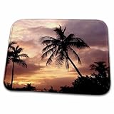 3dRose Bathroom Bath Rug Mat - Tropical Splendor Tropical Sunset
