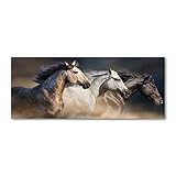 📏 EXPÉDITION SÉCURITAIRE : Chaque produit est soigneusement emballé dans du papier bulle et du carton rigide afin que vous soyez sûr que le produit commandé vous parviendra en toute sécurité. En outre, chacun de nos envois est assuré.