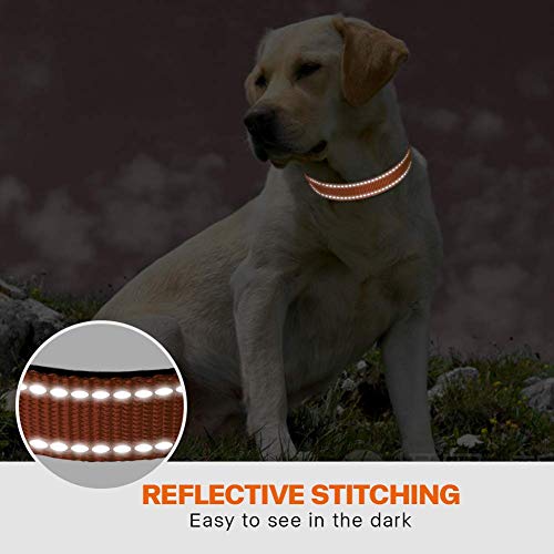 Taglory Hundehalsband, Weich Gepolstertes Neopren Nylon Hunde Halsband für Große Hunde, Verstellbare und Reflektierend für das Training, Orange
