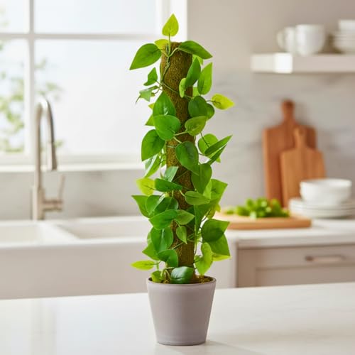 Image of fancymart Artificial Leaves Vine on Moss Stick 60 cm (Without Pot) | Decorative Indoor Plant for Home, Office, Cafe & Restaurant