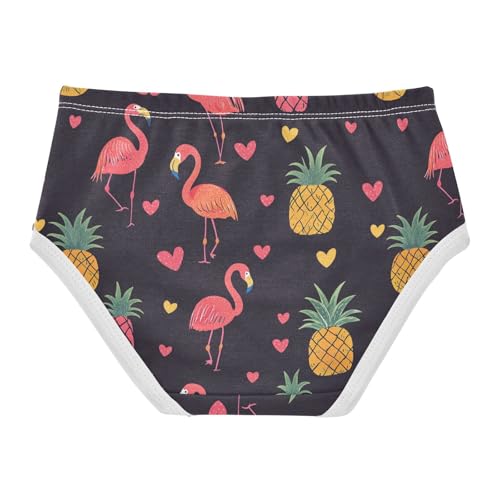 Wusikd Flamingos Pineapples Girls' Underwear Cotton Pink Girls Briefs Soft Toddler Underwear 2T2
