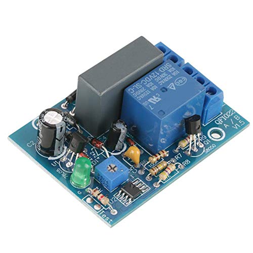 Module de Relais Temporisé avec Interrupteur à Retardement de 220 VCA(0~100Min)