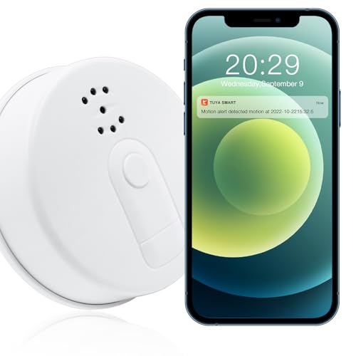 Hidden Spy Camera Mini Camera WiFi 1080P Smoke Detector Nanny Cam with Motion Detector/Night Vision...