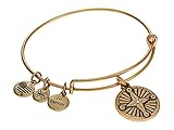 Alex and Ani A21EBCMPSRG