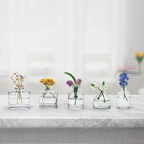 Winter Shore Small Glass Vases for Centrepieces [10 Pack] - Assorted Clear Vintage-Style Bud Vases for Flowers - Square, Rectangular, Round, Short, Tall Bottles for Home Decorations, Wedding Decor