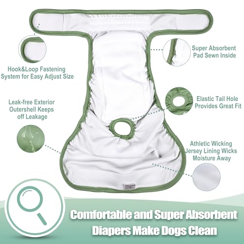 Image of wegreeco Female Dog Diapers, Washable Reusable Pet Puppy Doggie Diapers for Small Medium Large Female Dogs in Heat Period, Doggy Period Panties, 5 Pack, Medium, Blue Green