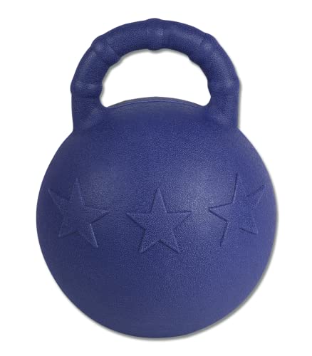 Pelota Fun Ball Waldhausen azul de 25 cm con aroma a menta, el juguete interactivo y resistente