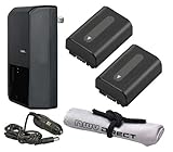 Lot de 2 batteries haute capacité + chargeur de voyage AC/DC compatible avec Pentax Optio W90 + cordon tour de cou Krusell Multidapt (finition noire)