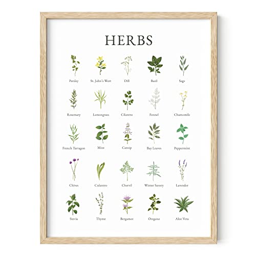 HAUS AND HUES Herb Pictures for Kitchen Wall Art -Botanical