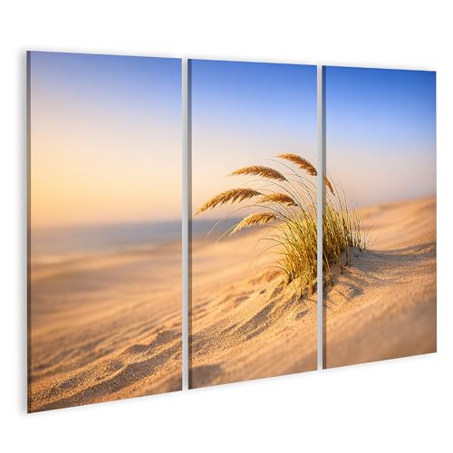 Tableau sur toile en 3 pièces paysage de dunes minimaliste islandburner herbe au soleil