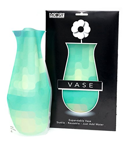 Modgy Expandable Flower Vase Plastic Decorative Modern Vases For Flowers Centerpieces Dining Table Decor Living Room Bathroom Wedding Office, Eilah #TOP4