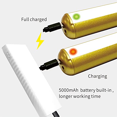 Xuolder 16Inch Wireless Picture Light Painting Light For Art,Rechargeable Battery Operated Display Art Light With Remote,Dimmable Timer Painting Light For Wall Picture Gallery Dartboad Full Metal-Gold #TOP6