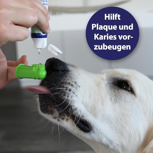 Canosept Zahnbürste für Hunde (3 Stück) – Zahnbürste – Plaque Zerstörer – frischer Atem – Reinigung und Hygiene – gegen Zahnstein