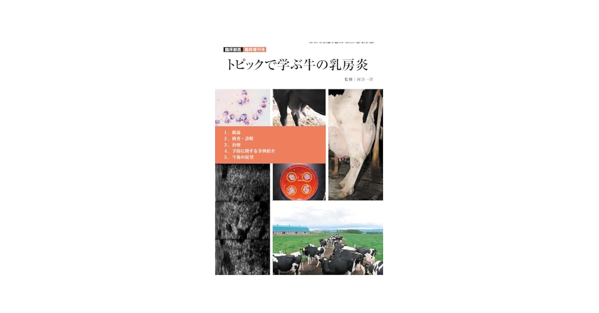 牛の乳房炎Q&amp;A ―基礎と臨床の視点から一問二答形式で解説 牛の乳房炎Q&A ―基礎と臨床の視点から一問二答形式で解説 | 河合