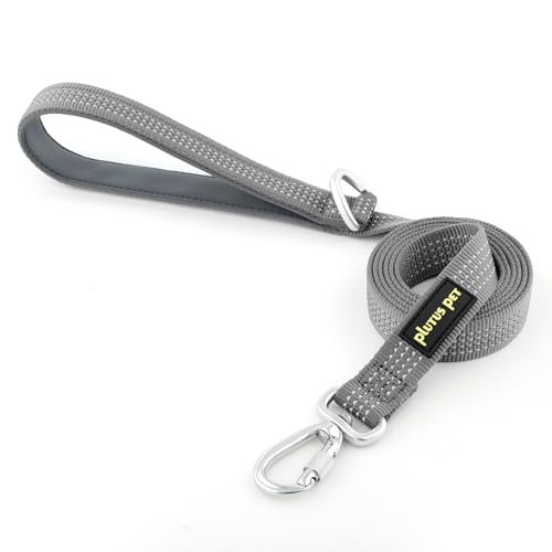 Plutus Pet Heavy Duty Dog Leash with Lockable Aluminum Carabiner, 4 FT Long