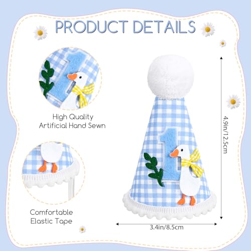 Image of Goose 1st Birthday Highchair Banner Goose Theme Blue Ginghams Tassel Banner Hat Cake Topper Highchair Photo Prop for Boy Birthday Party Decorations