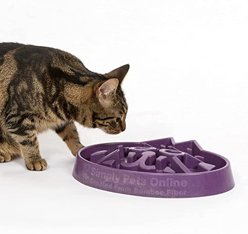 Slow Feeder Cat Bowl - Veterinarian Designed - Enrichment And Activity For Cats - Large Size - Bamboo Cat Puzzle Feeder #TOP4