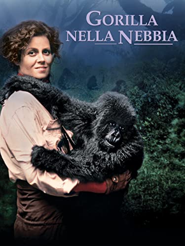  Gorilla nella nebbia
