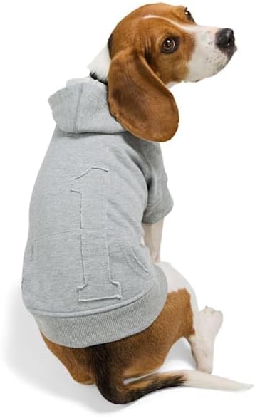 Reddy by Petco Icon Dog Hoodie Medium