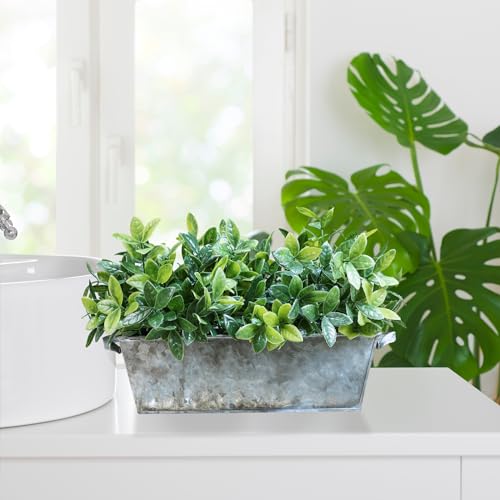 Winlyn-Artificial-Boxwood-Plants-in-Rustic-Galvanized-Metal-Rectangular-Planter-Box-Faux-Boxwood-Greenery-Arrangement-Potted-Plants-for-Farmhouse-Indoor-Table-Centerpiece-Shelf-Office-Desk-Decor Winlyn Artificial Boxwood Plants in Rustic Galvanized Metal Rectangular Planter Box Faux Boxwood Greenery Arrangement Potted Plants for Farmhouse Indoor Table Centerpiece Shelf Office Desk Decor