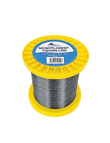 Image of BLUEWING Monofilament Fishing Line Clear Mono Fish Wire Thin Diameter String 6-400 lbs, 50-3000 Yards