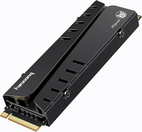 fanxiang M2 SSD 2TB Nvme M.2 2280 Interne SSD Festplatte PCIe 4.0 DRAM mit Kühlkörper, 7300MB/s Lesen, 6600MB/s Schreiben, für Gaming, Programme, Videoschnitt (S770)