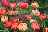 Blumenhandel Ullrich